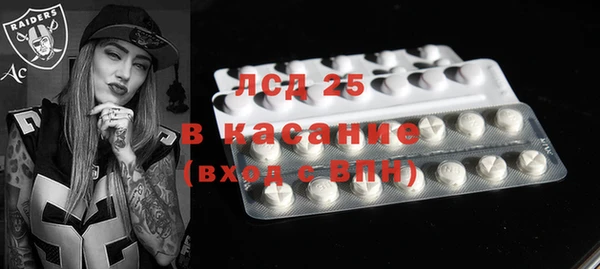 ГАЛЛЮЦИНОГЕННЫЕ ГРИБЫ Магас
