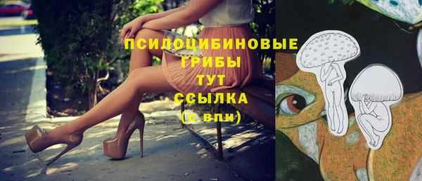 ГАЛЛЮЦИНОГЕННЫЕ ГРИБЫ Магас
