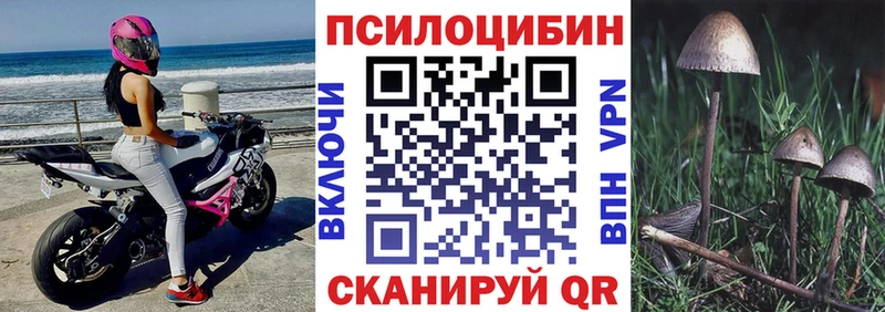 Псилоцибиновые грибы прущие грибы  Магадан 