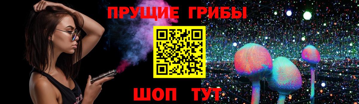 закладка  Галлюциногенные грибы ЛСД  Вход с VPN  Магадан  Псилоцибиновые грибы MAGIC MUSHROOMS 
